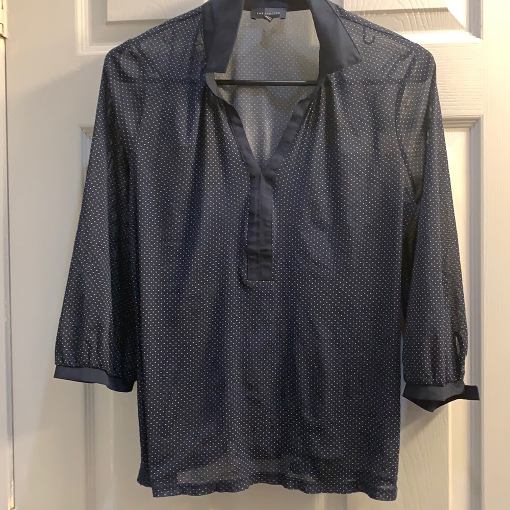 The Limited Blue/White Polka Dot Sheer Blouse